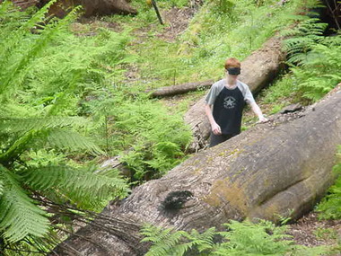 Photograph - Parkwood Secondary College, Ringwood North, Victoria, Selection of 15 Digtised Images from Bogong School Camp - 2003 Group Studies