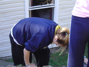 Photograph - Parkwood Secondary College, Ringwood North, Victoria, Selection of 20 Digtised Images from Bogong School Camp - 2004 -Rock Climbing and Abseiling