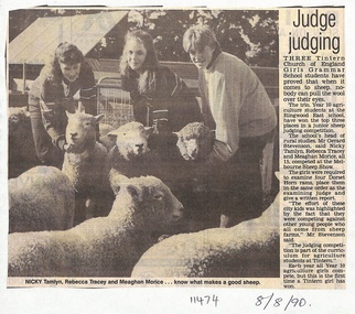 Article, Tintern CEGS Ringwood East - Newspaper Clipping 8/8/1990 - winners of junior sheep Judging comp. at Melbourne Sheep show