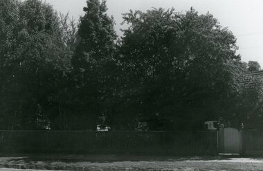 Photograph, House at 35 Pitt Street, Ringwood circa 1970