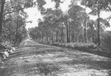 Photograph, View from Coleman's Estate, Heathmont, looking west along Canterbury Road. 1923
