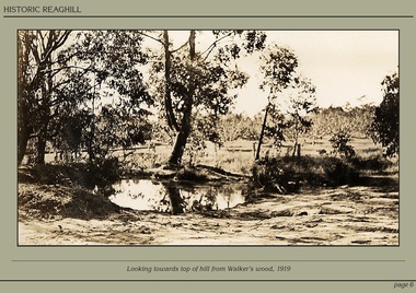 Photograph - Powerpoint Slide - Historic Reaghill - Ringwood East,Victoria, Caption: Looking towards top of hill from Walker's wood, 1919