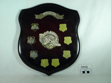 Shield, Frimley Sports Uniforms and Trophies, Ringwood Festival Fun Run Perpetual School Trophy, 1992