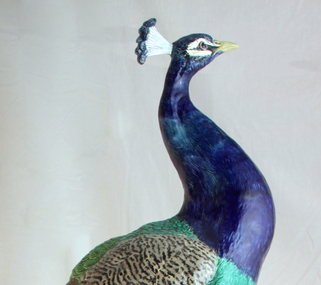 Feathers on the peacock are made by fine brush strokes on the porcelain  