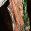 Fine lines and careful painting highlight the feathers