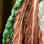 The spines and ends of the feathers are very detailed