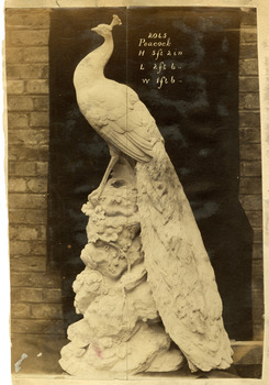 Unpainted peacock after firing - copyright photograph