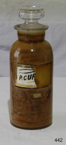 Bottle