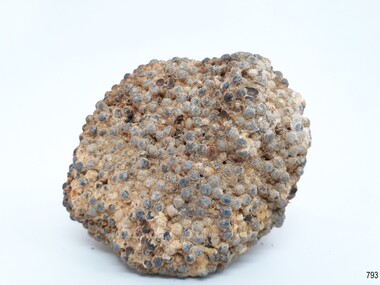 Concretion has many small lead shot pellets