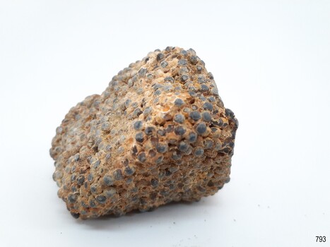 Another view of the shot in concretion