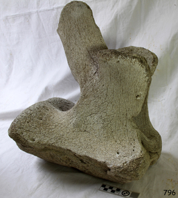 Whale bone vertebra placed vertically.