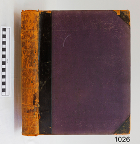 Book, The Graphic et al, The Graphic Illustrated Newspaper, June 1893, at the earliest date