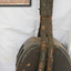 Large wooden rope block with rope fittings