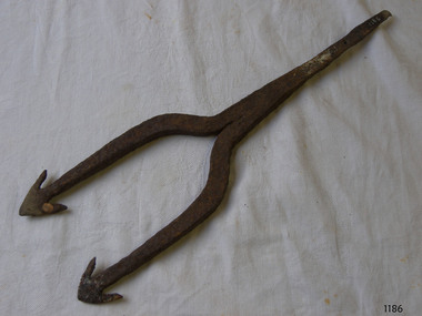 Fish Spear