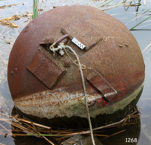 Buoy