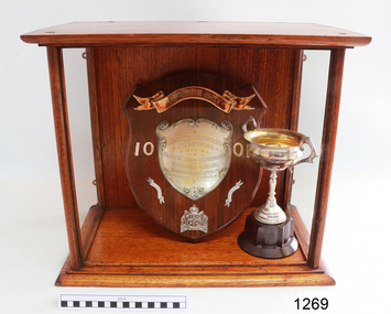 Trophy, 1933-1934