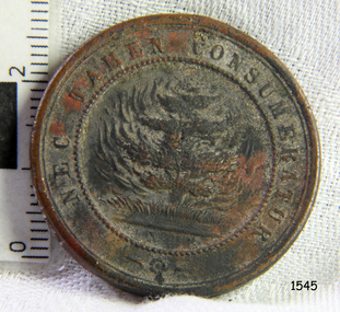 Medallion
