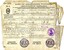 Certificate of Discharge with name of seaman, ship, date etc filled in by hand with ink