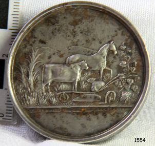 Medal