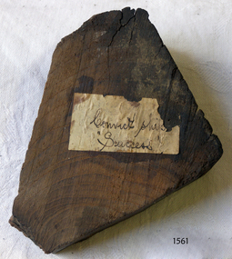Wood Sample, 1840
