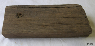 Wood Sample, c. 1854