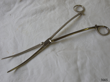 Forceps