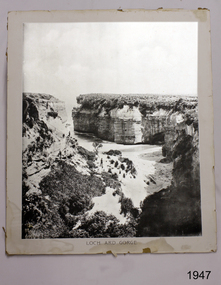 Photograph