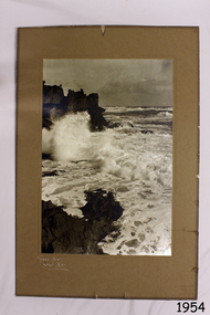 Photograph