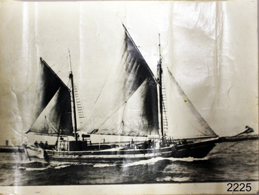 Photograph