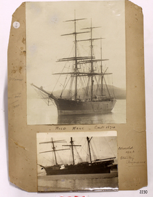 Photograph