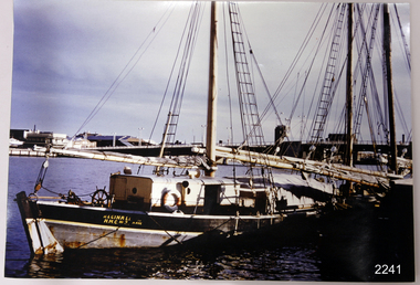 Photograph