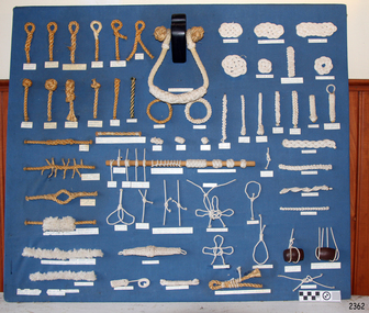Board containing a wide variety of knots and splices on a blue background.