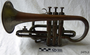 Band Instrument and case