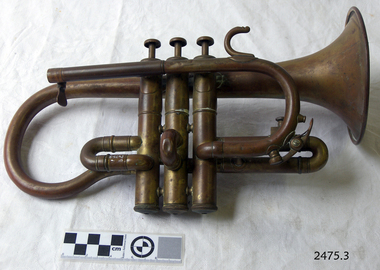Band Instrument and case