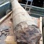 Cannon on trailer, close-up view of it s fragile cross section.