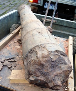 Cannon on trailer, close-up view of it s fragile cross section.