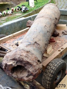 Cannon on trailer, ready to move to conservation area