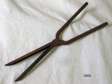 Long metal pair of tongs with thin handles and grips. Very rusty.
