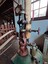 Flat belt attached to the red painted governor, pressure gauge in the background