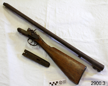 Weapon - Shotgun, Early 20th Century