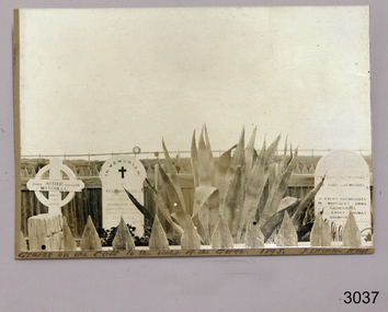 Photograph, March, 1895
