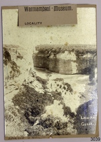 Photograph