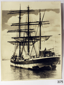 Photograph