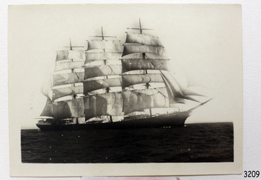Photograph