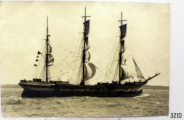 Photograph