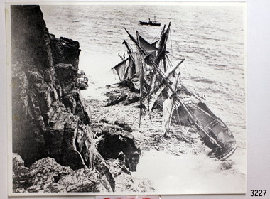 Photograph