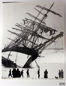 Photograph