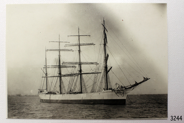 Photograph