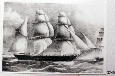 Photograph