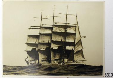 Photograph